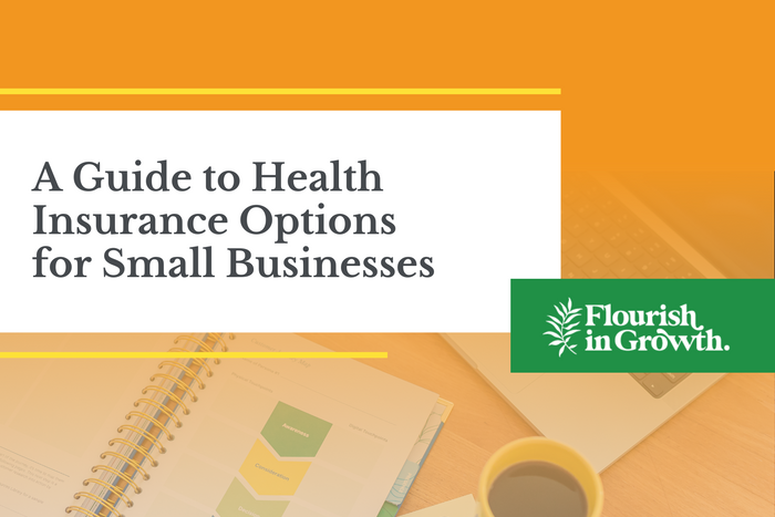 Health Insurance Options for Small Businesses Banner